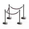 Montour Line Stanchion Post and Rope Kit Sat.Steel, 4 Ball Top3 Purple Rope C-Kit-4-SS-BA-3-PVR-PE-PS